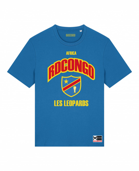 TEAM 243 – LEOPARDS