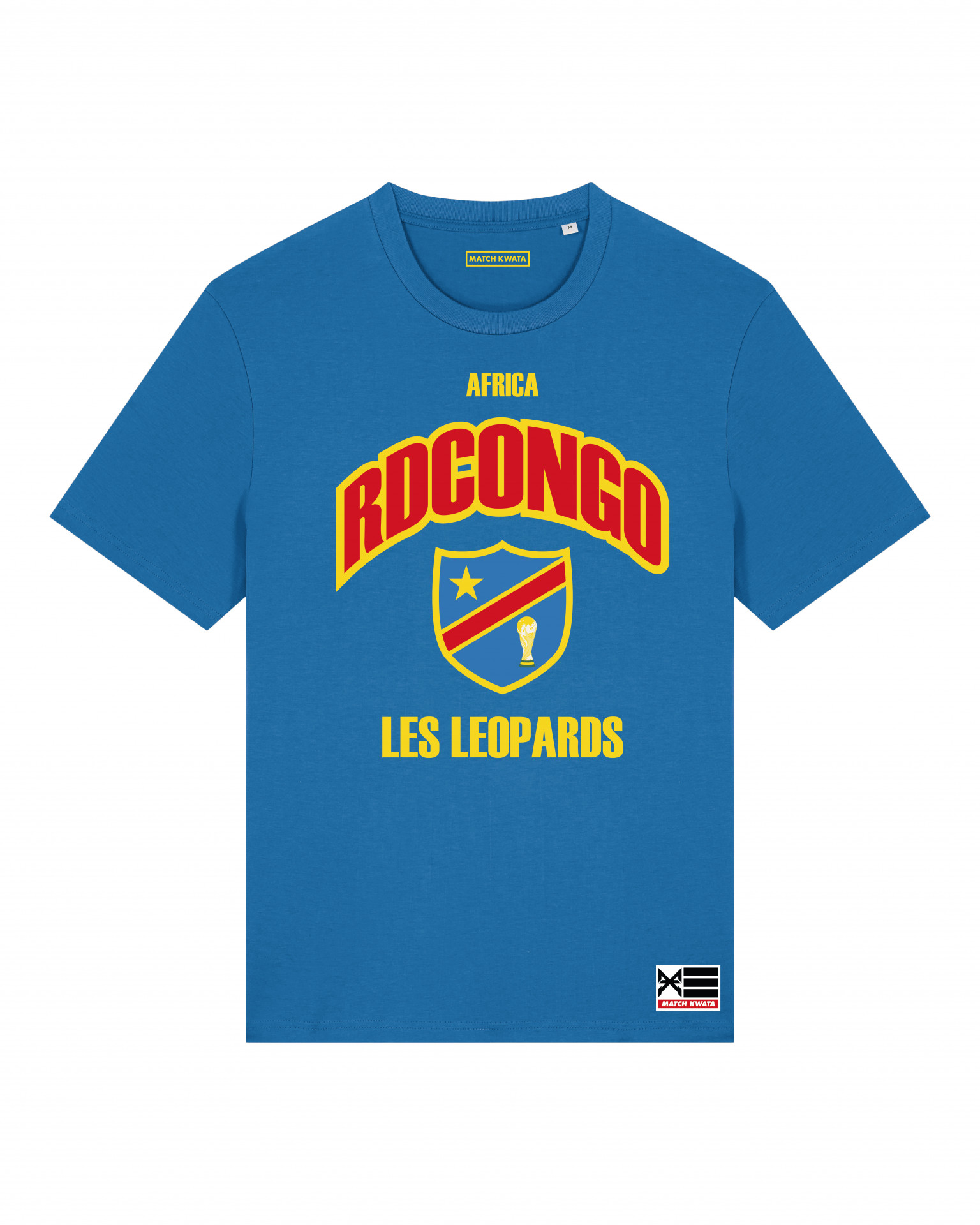 TEAM 243 – LEOPARDS